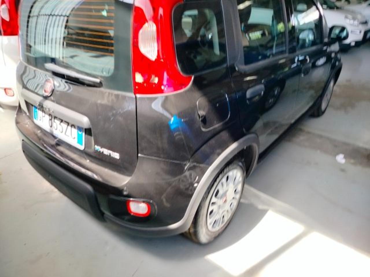 Fiat Fiat Panda usata 16