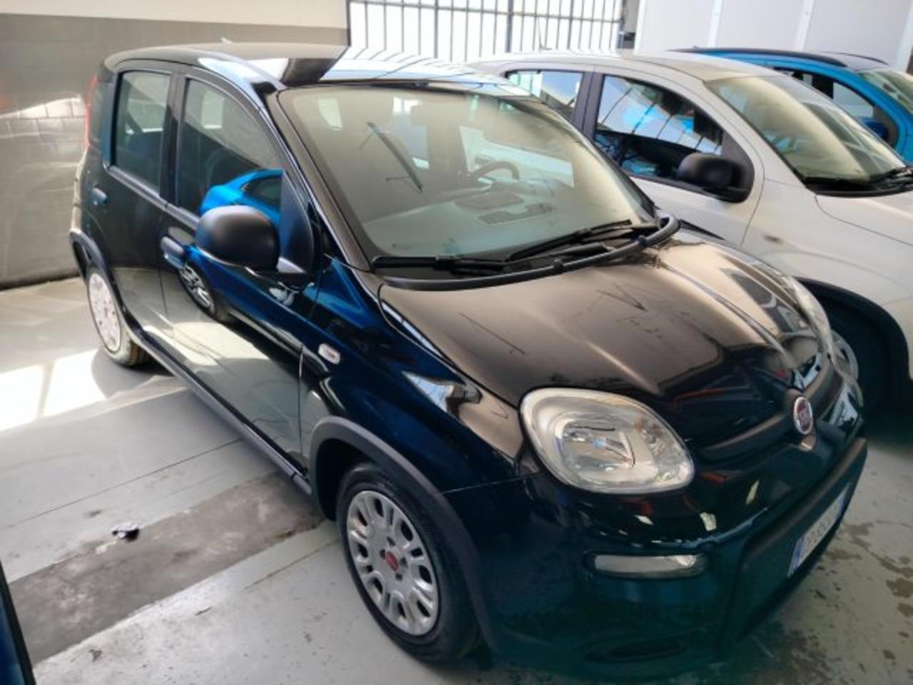 Fiat Fiat Panda usata 17