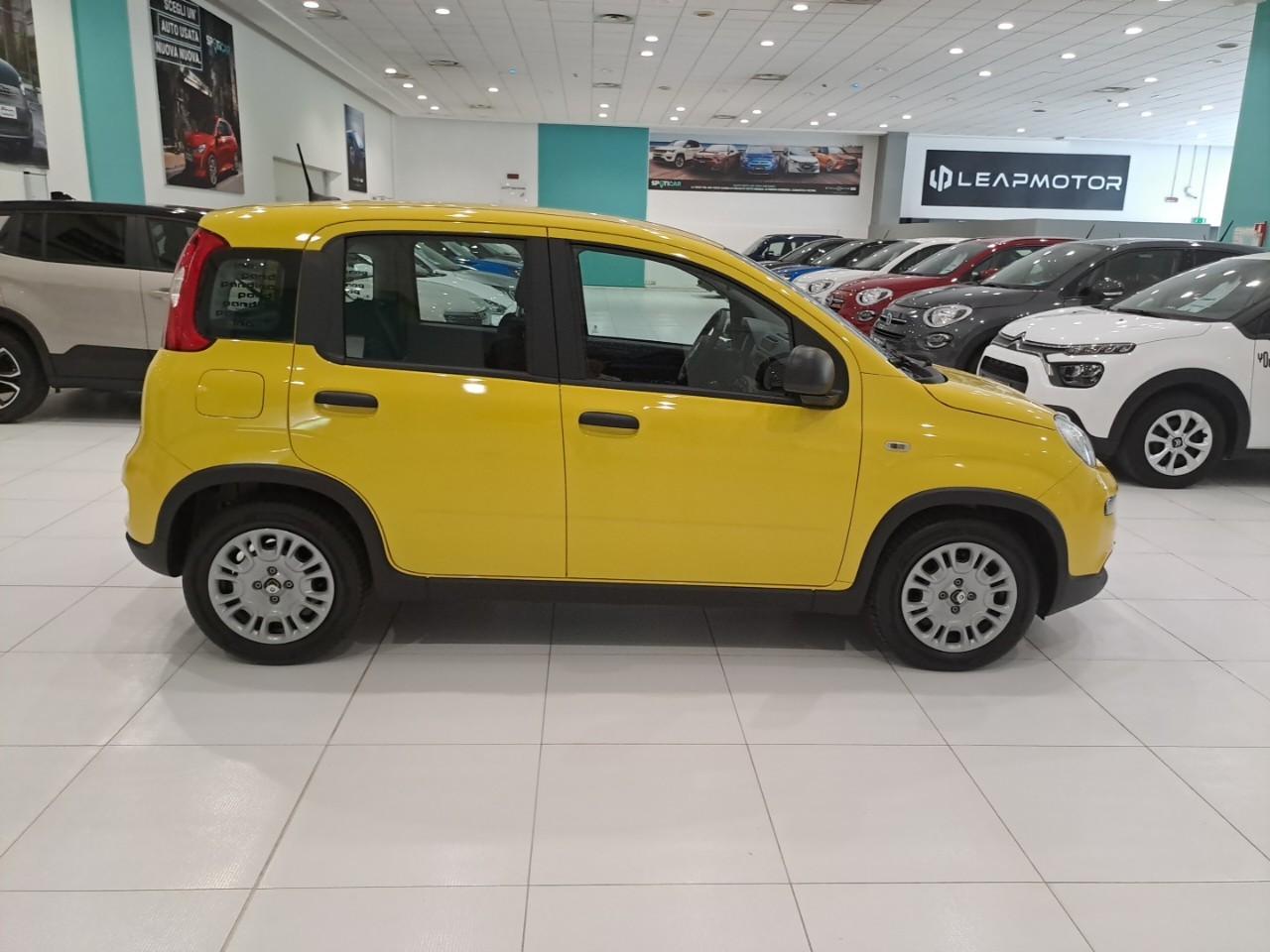 Fiat Fiat Panda usata 4