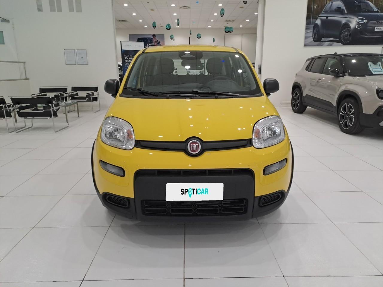 Fiat Fiat Panda usata 11
