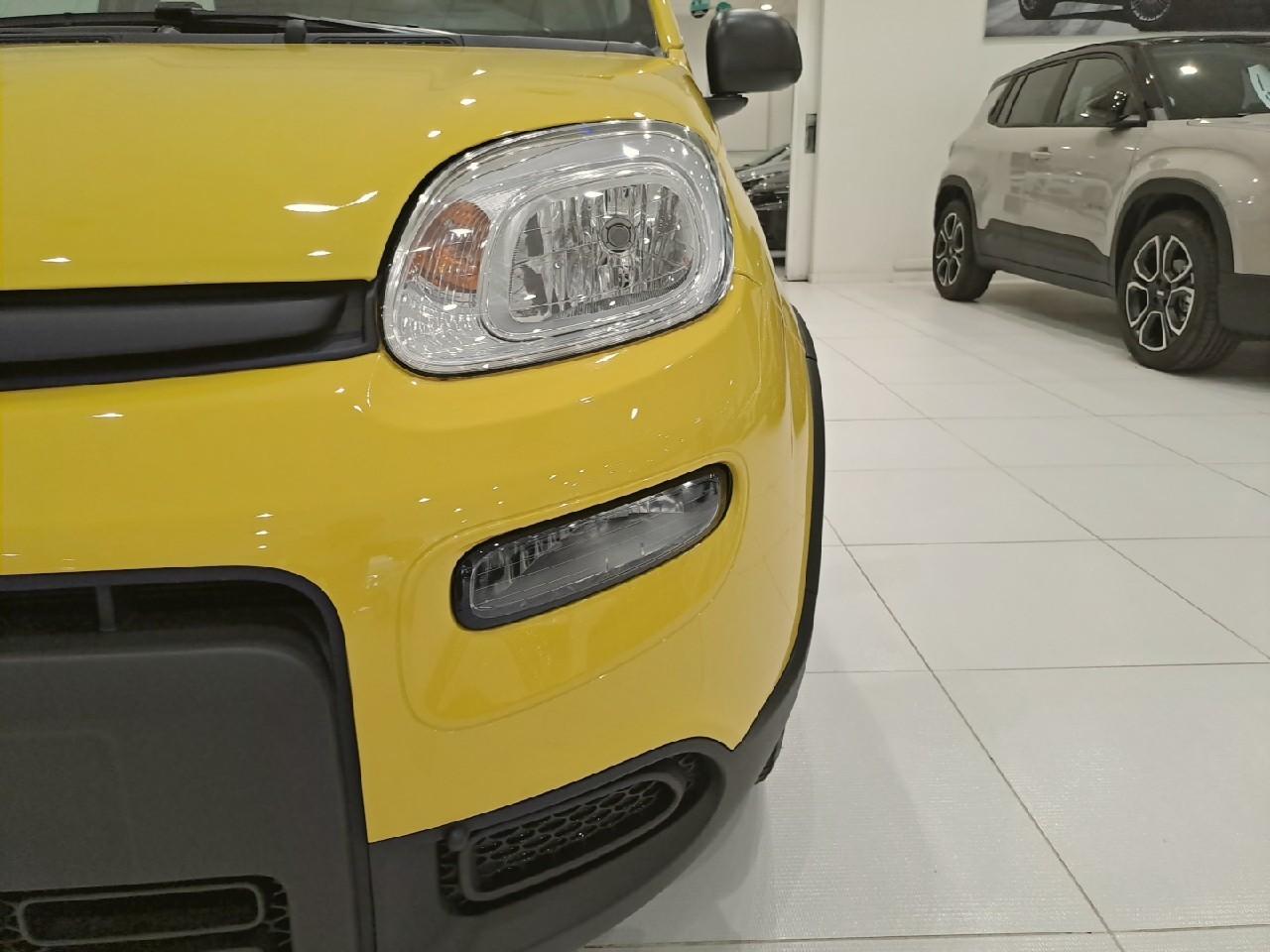 Fiat Fiat Panda usata 12