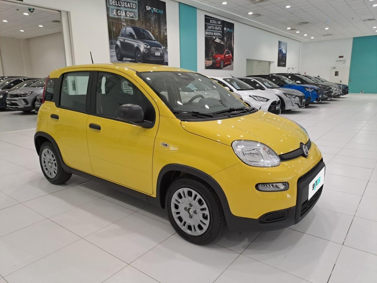 Fiat Fiat Panda usata 14
