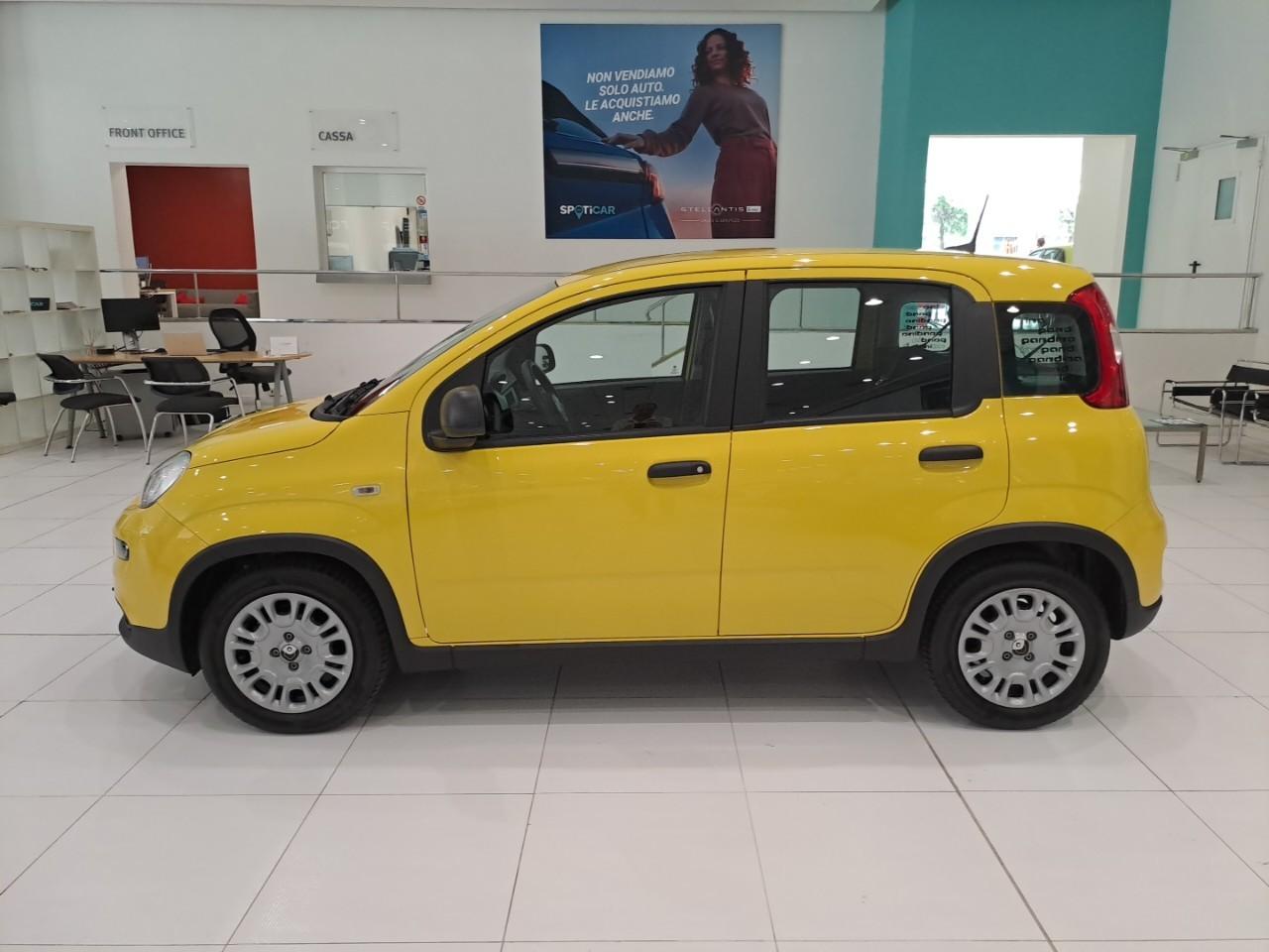 Fiat Fiat Panda usata 15