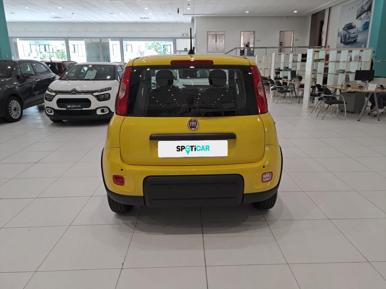 Fiat Fiat Panda usata 16