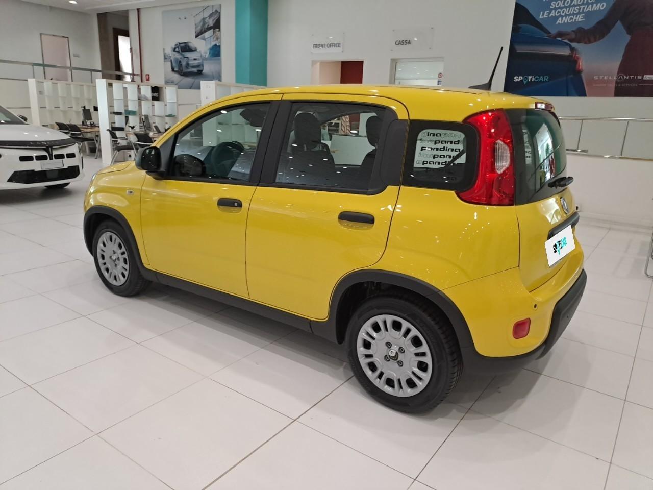 Fiat Fiat Panda usata 18