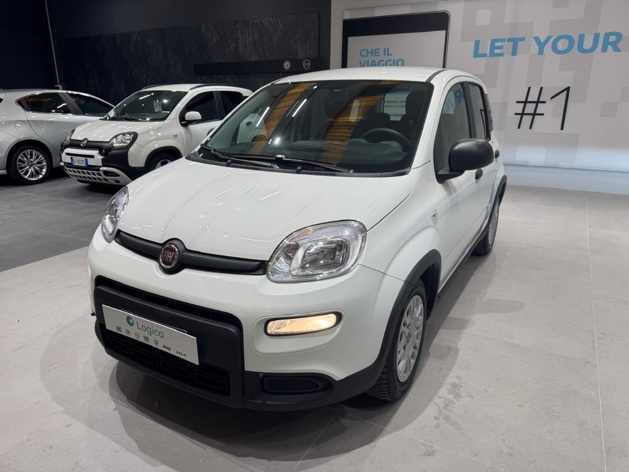 Fiat Fiat Panda usata 12