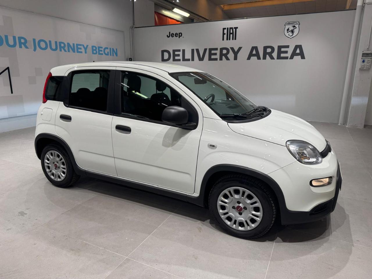 Fiat Fiat Panda usata 14