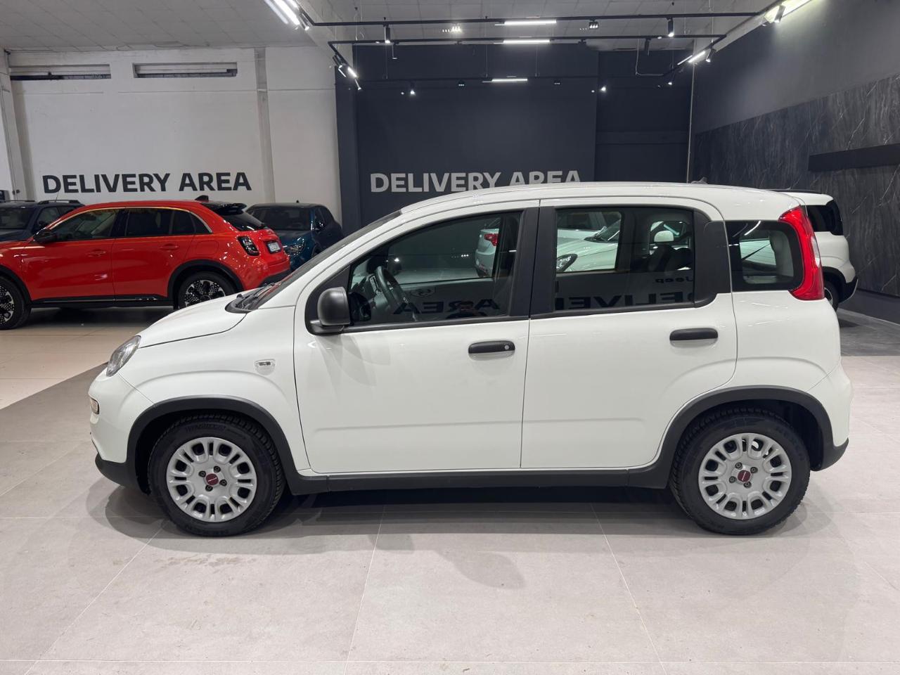 Fiat Fiat Panda usata 15
