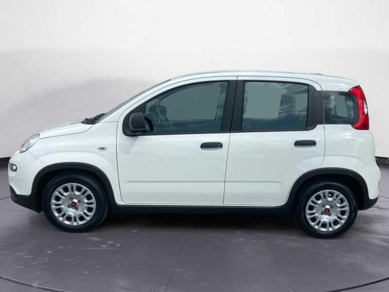 Fiat Fiat Panda usata 11