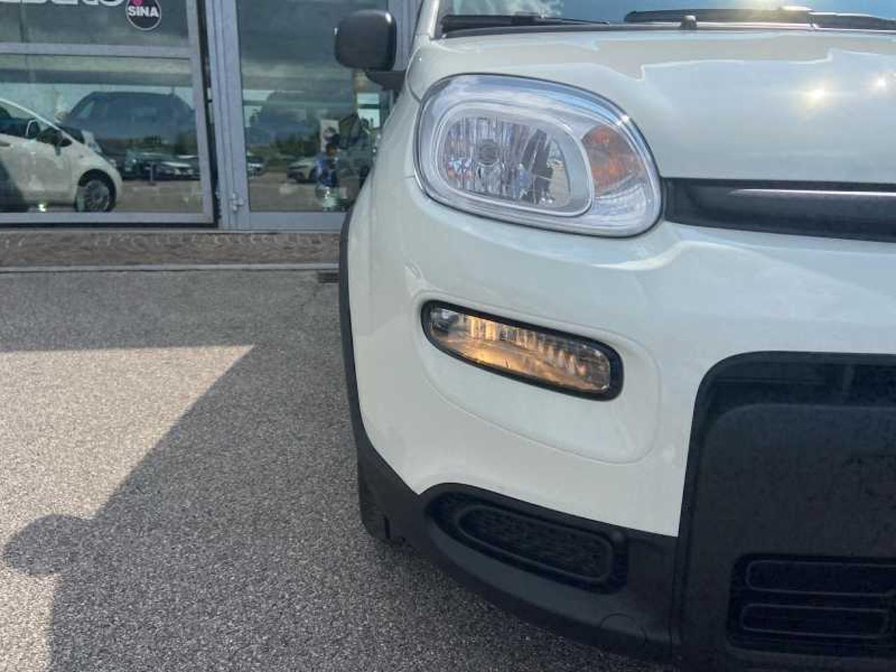 Fiat Fiat Panda usata 12