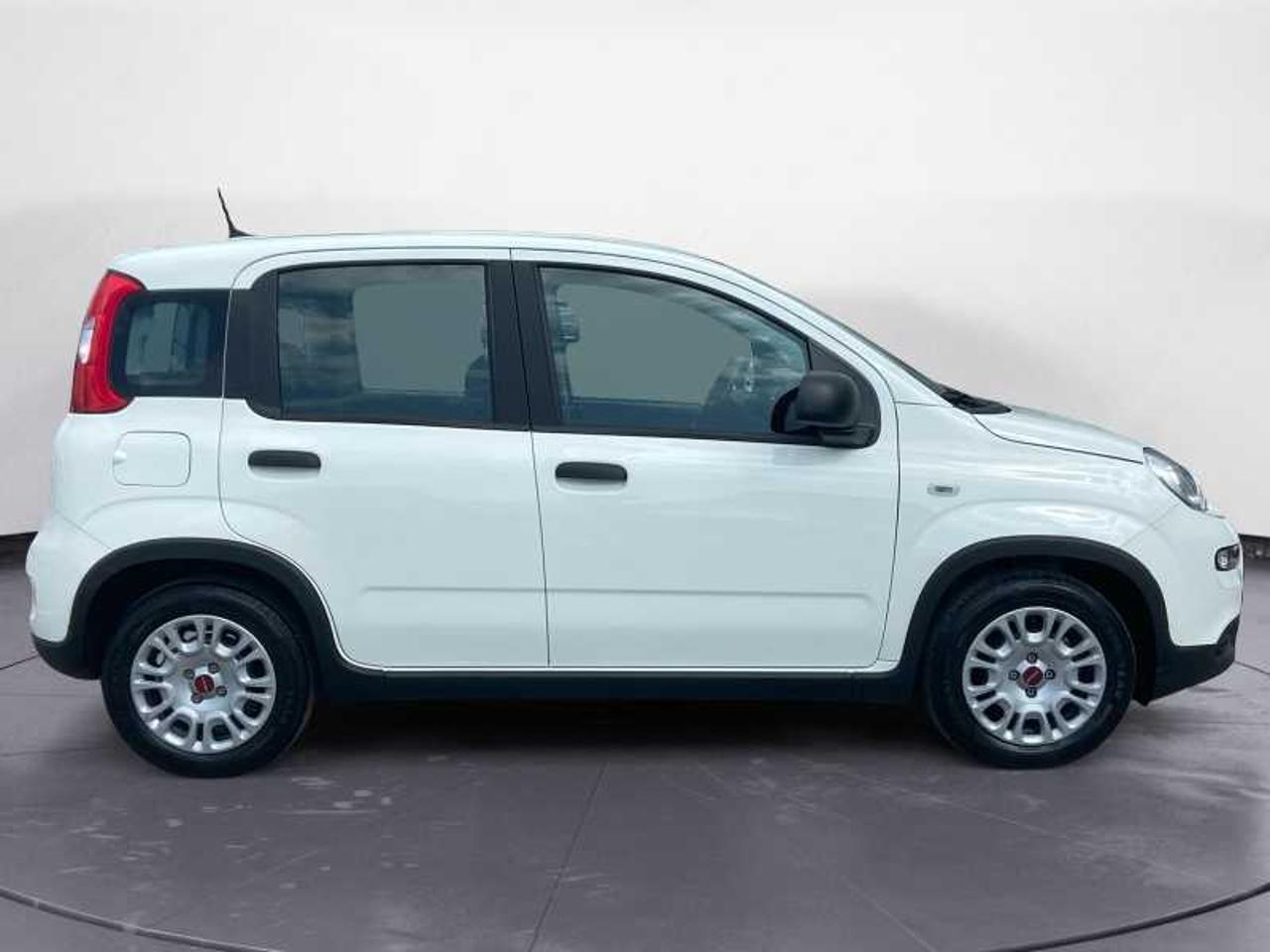 Fiat Fiat Panda usata 17