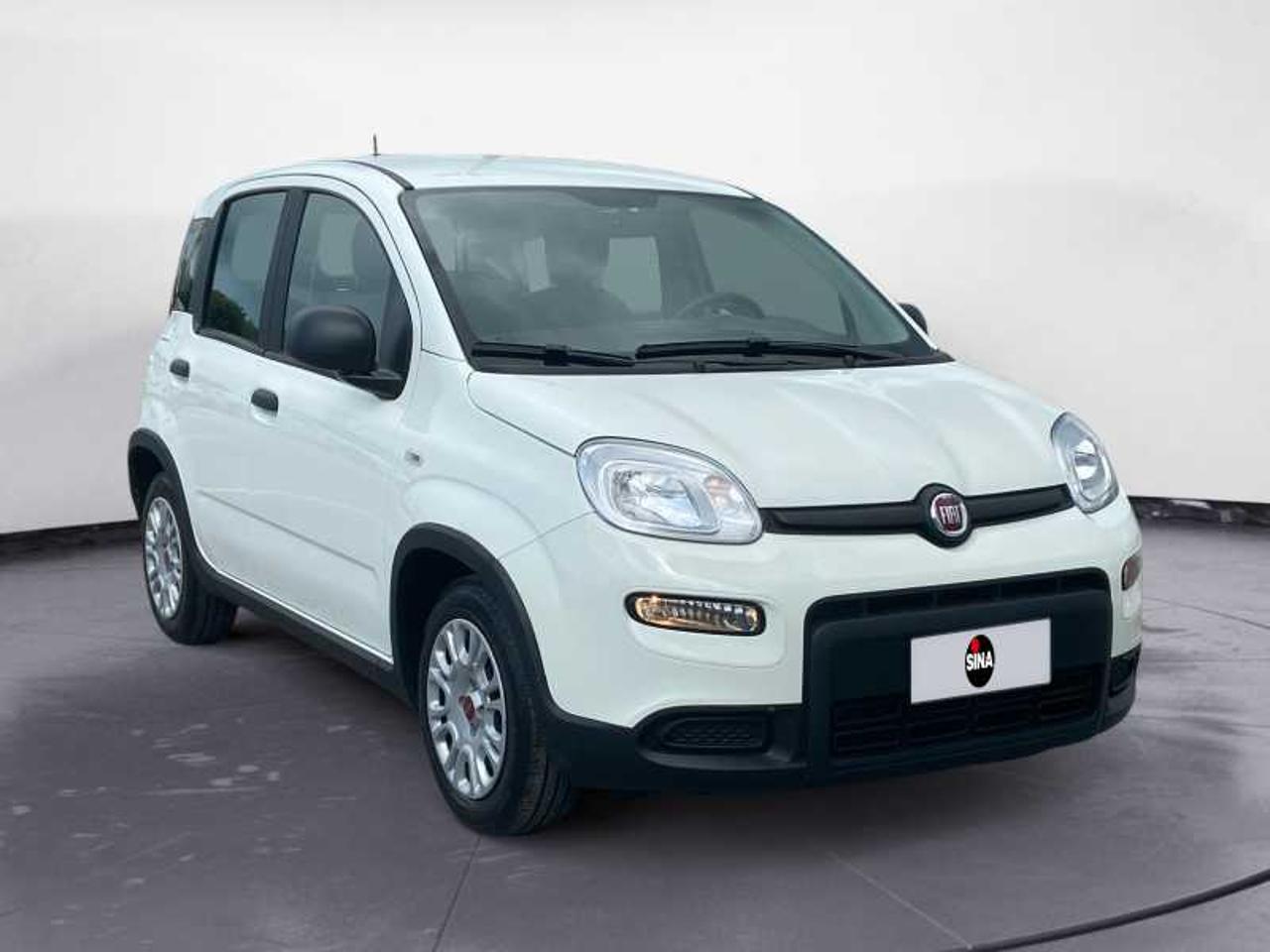 Fiat Fiat Panda usata 18