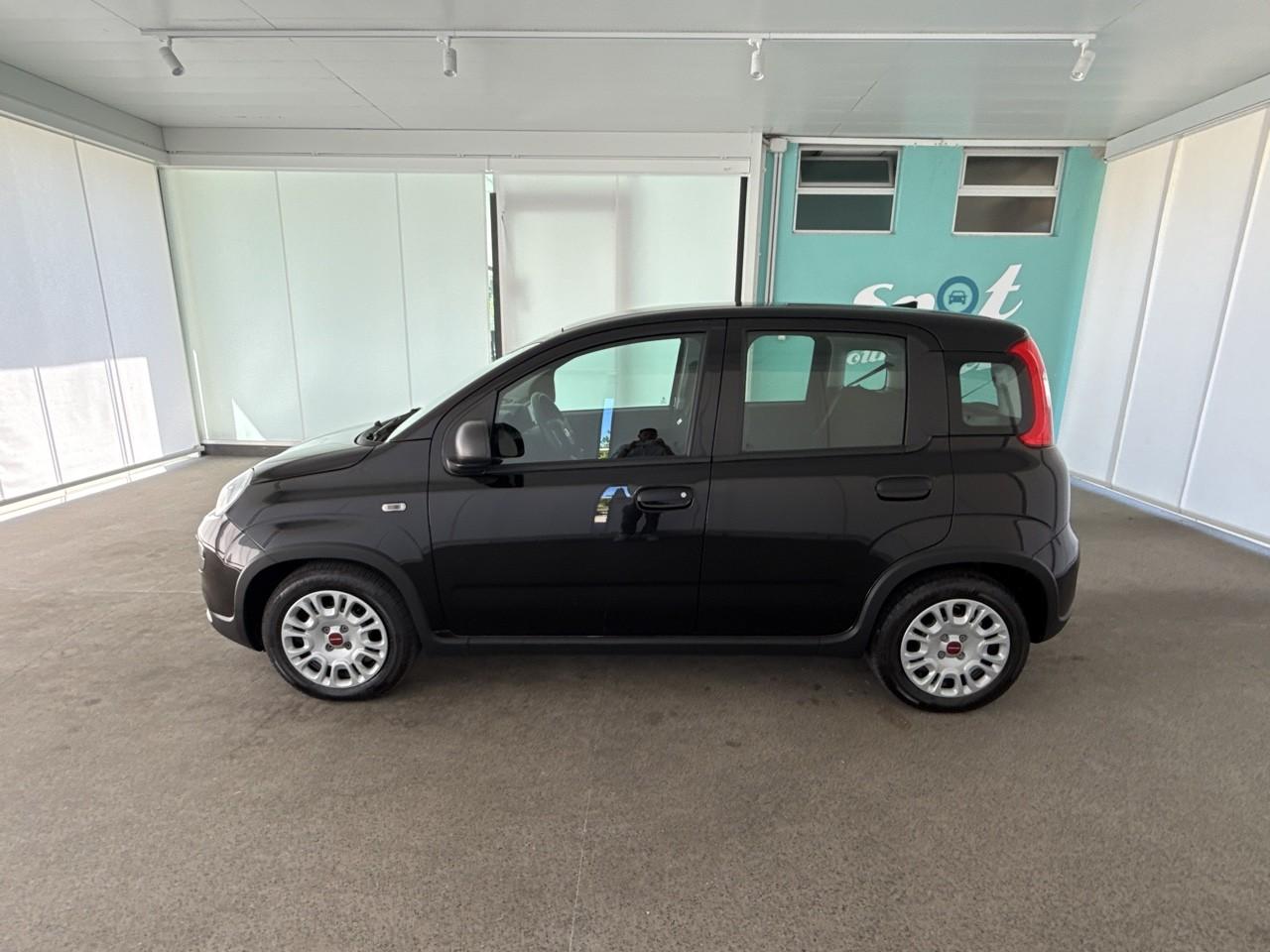 Fiat Fiat Panda usata, con cinture sicurezza post. conducente e passeggero