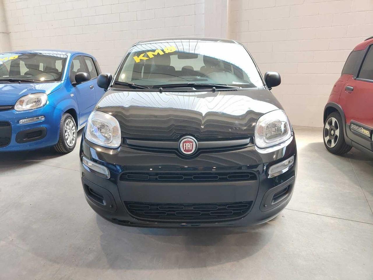 Fiat Fiat Panda usata 11
