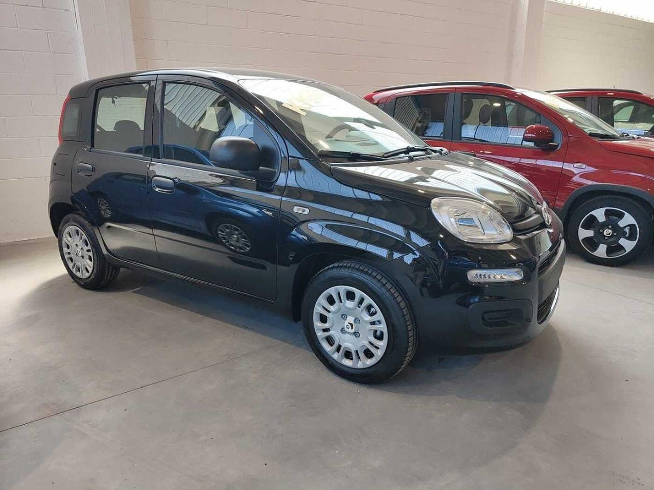 Fiat Fiat Panda usata 19