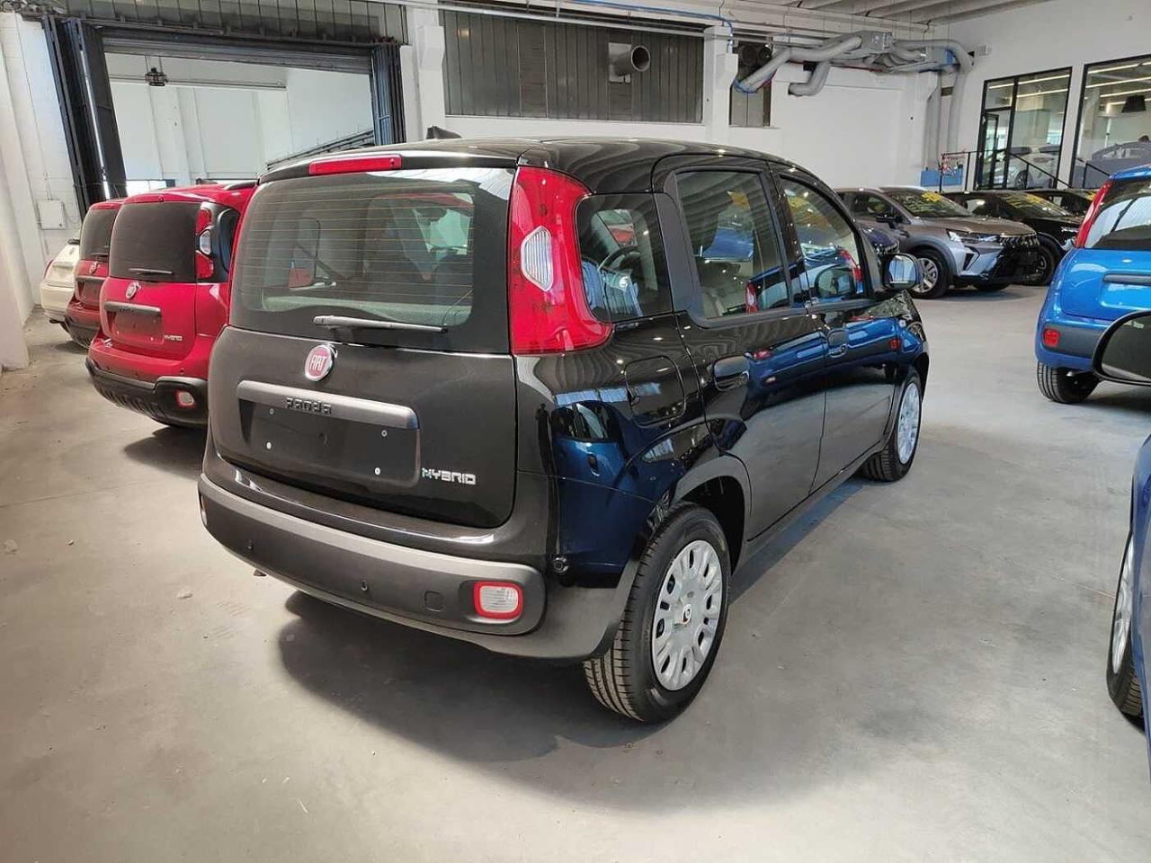 Fiat Fiat Panda usata 20