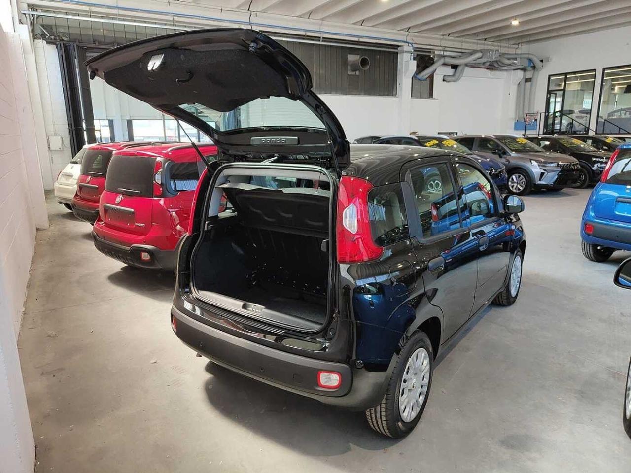 Fiat Fiat Panda usata 24