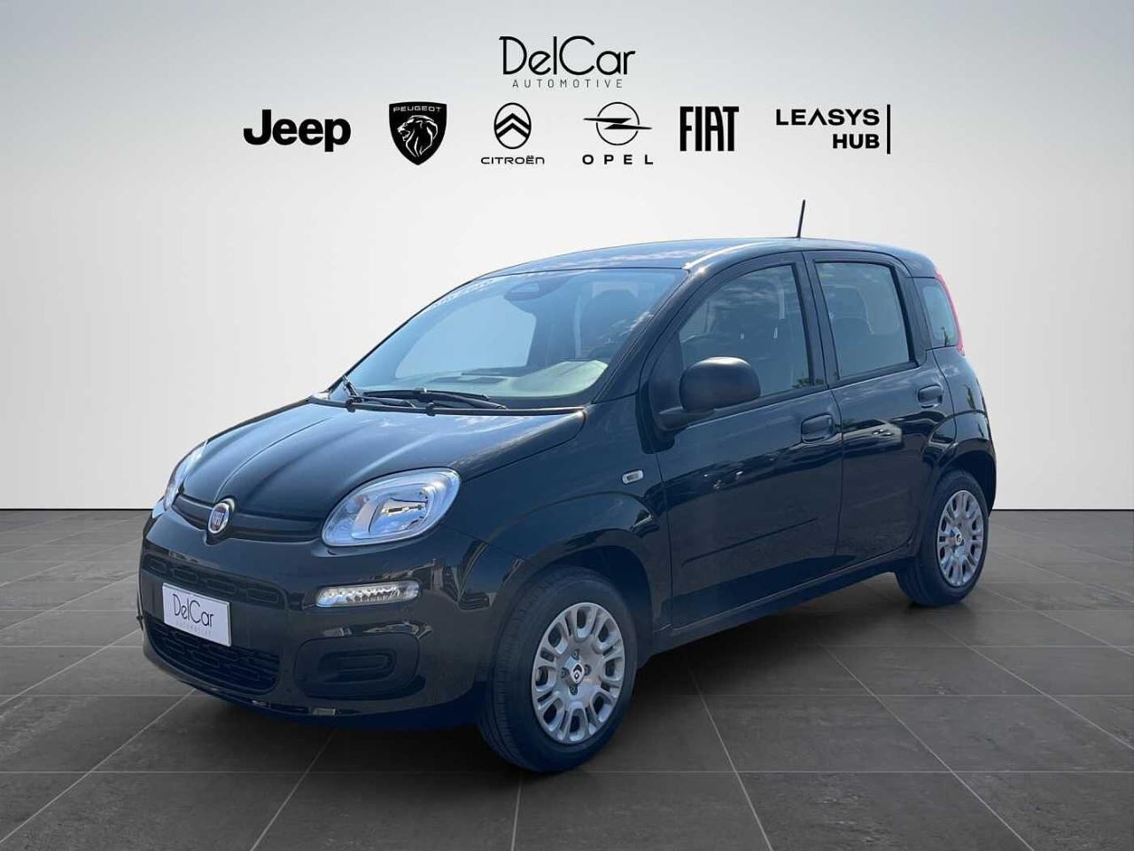 Fiat Fiat Panda usata 10