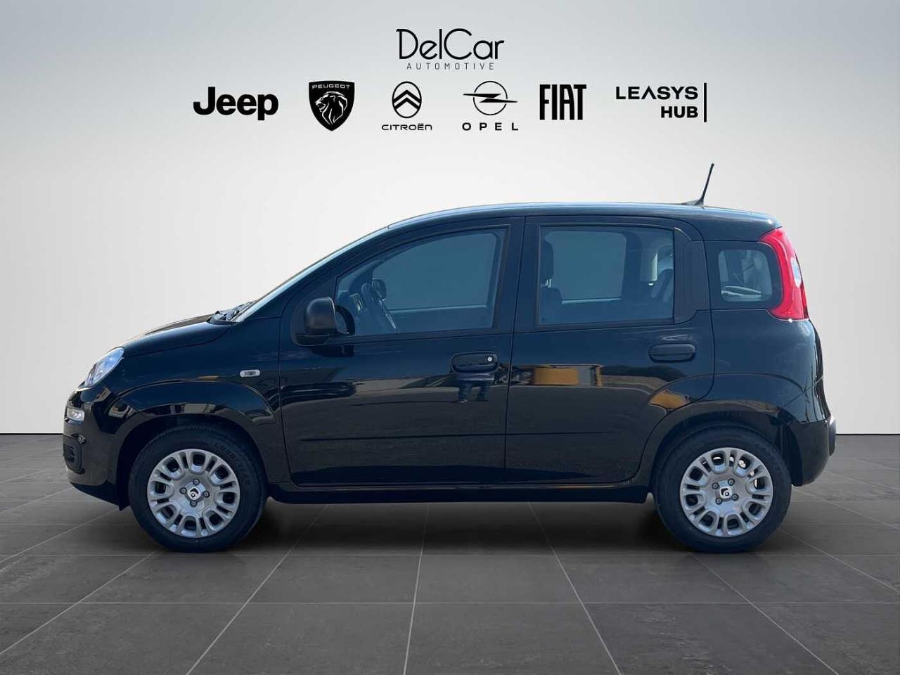 Fiat Fiat Panda usata 11