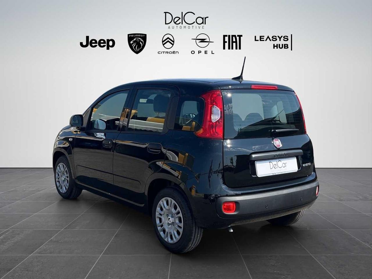 Fiat Fiat Panda usata 12