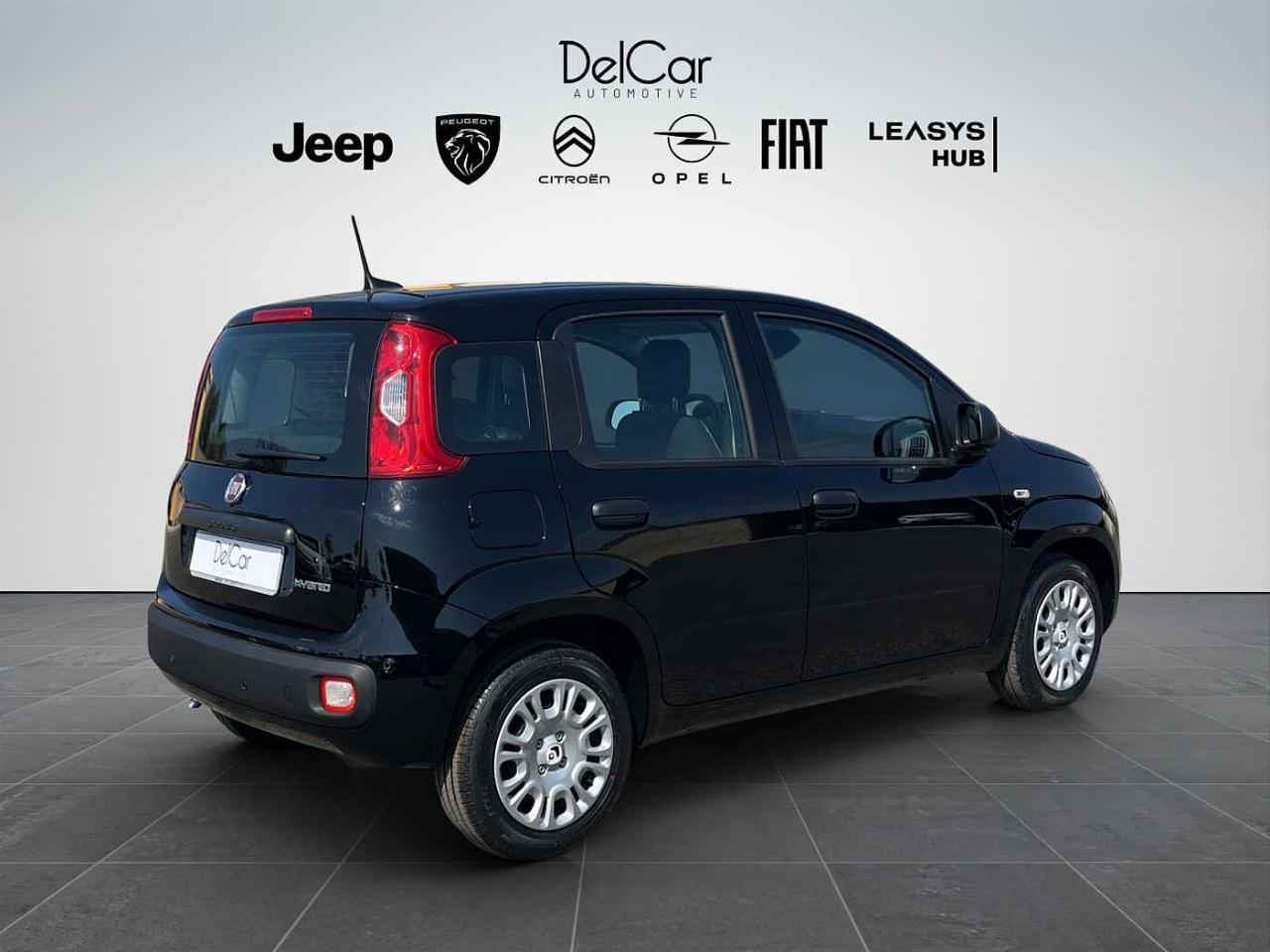 Fiat Fiat Panda usata 14