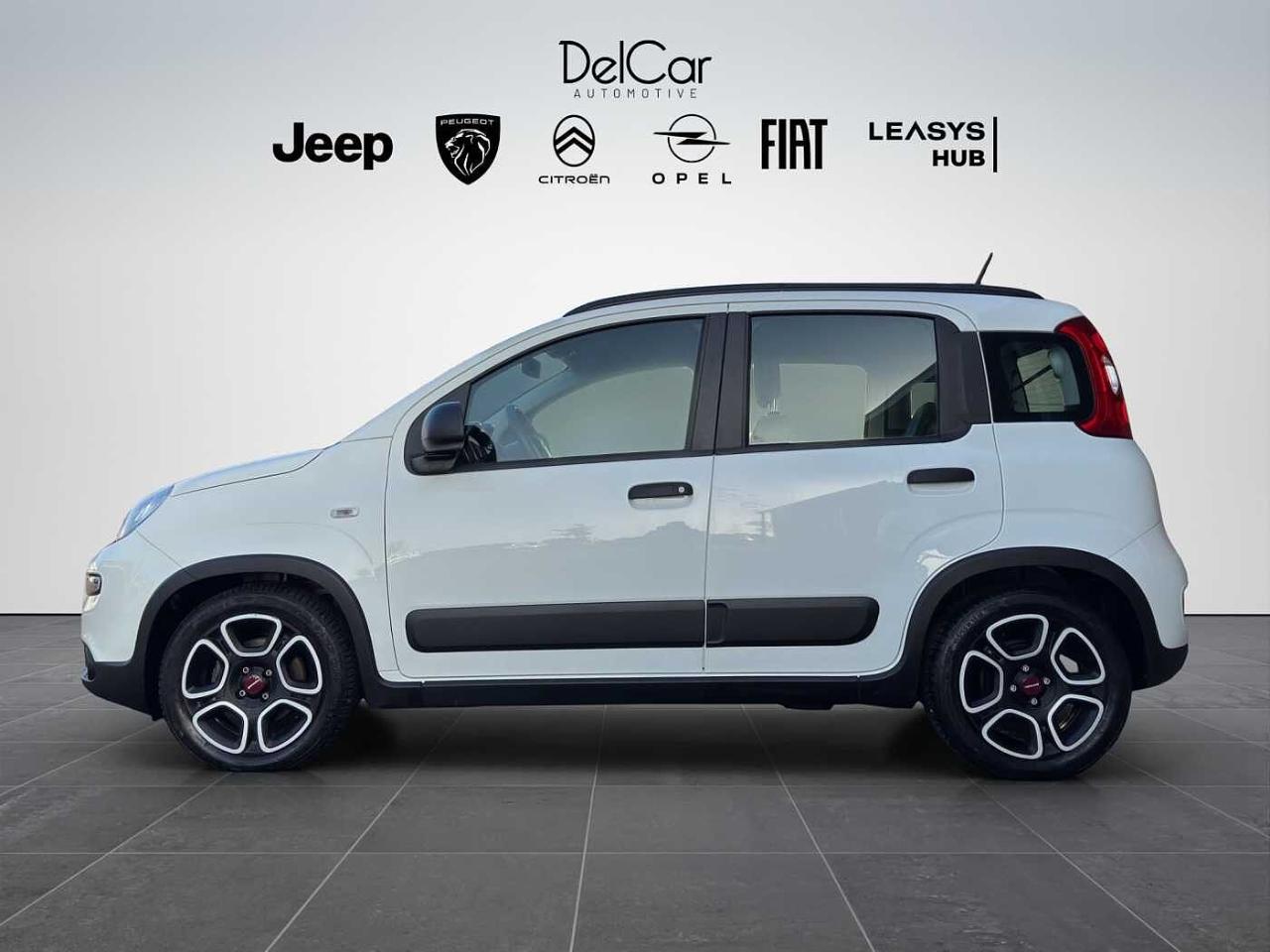 Fiat Fiat Panda usata 10