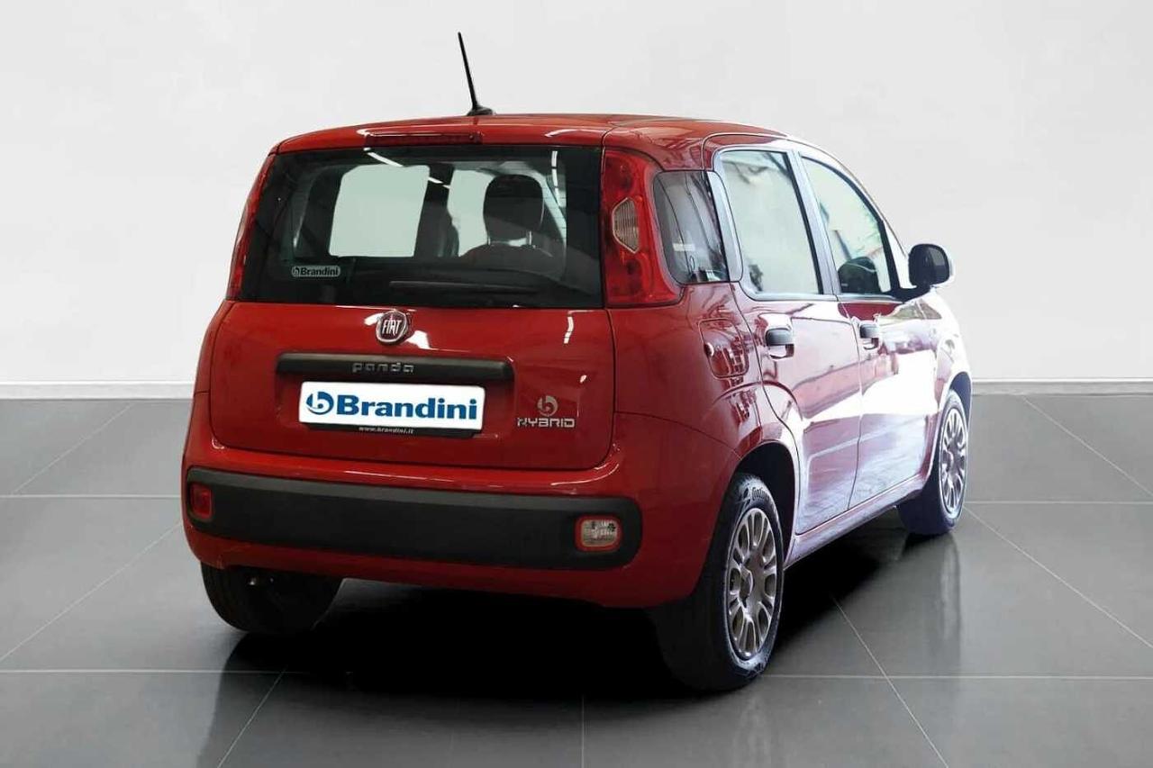 Fiat Fiat Panda usata 20