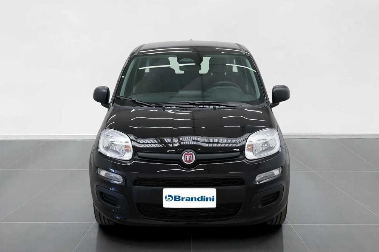 Fiat Fiat Panda usata, con cruise control