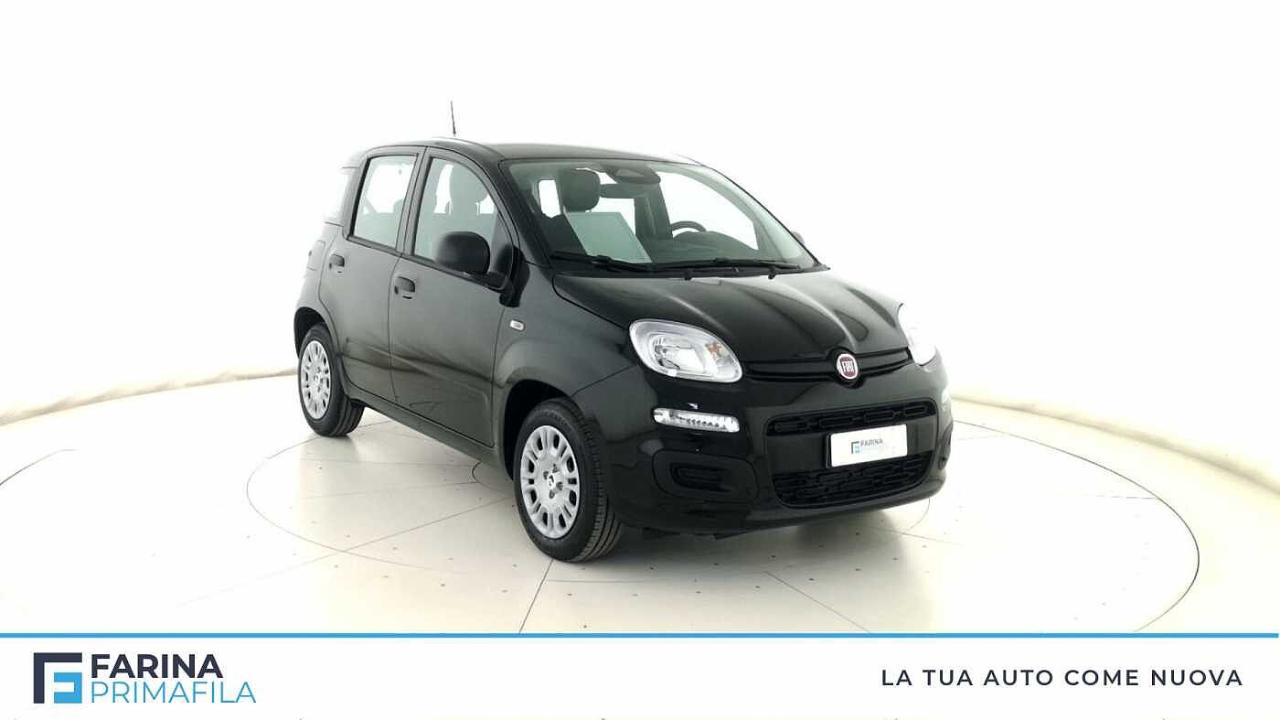Fiat Fiat Panda usata 11