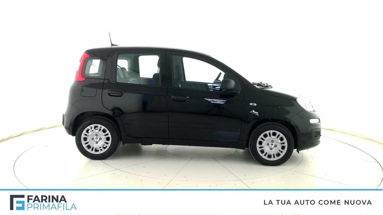 Fiat Fiat Panda usata 15