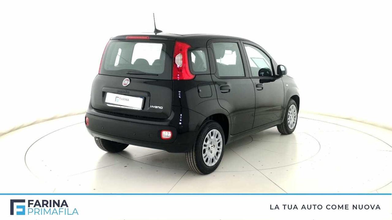 Fiat Fiat Panda usata 16