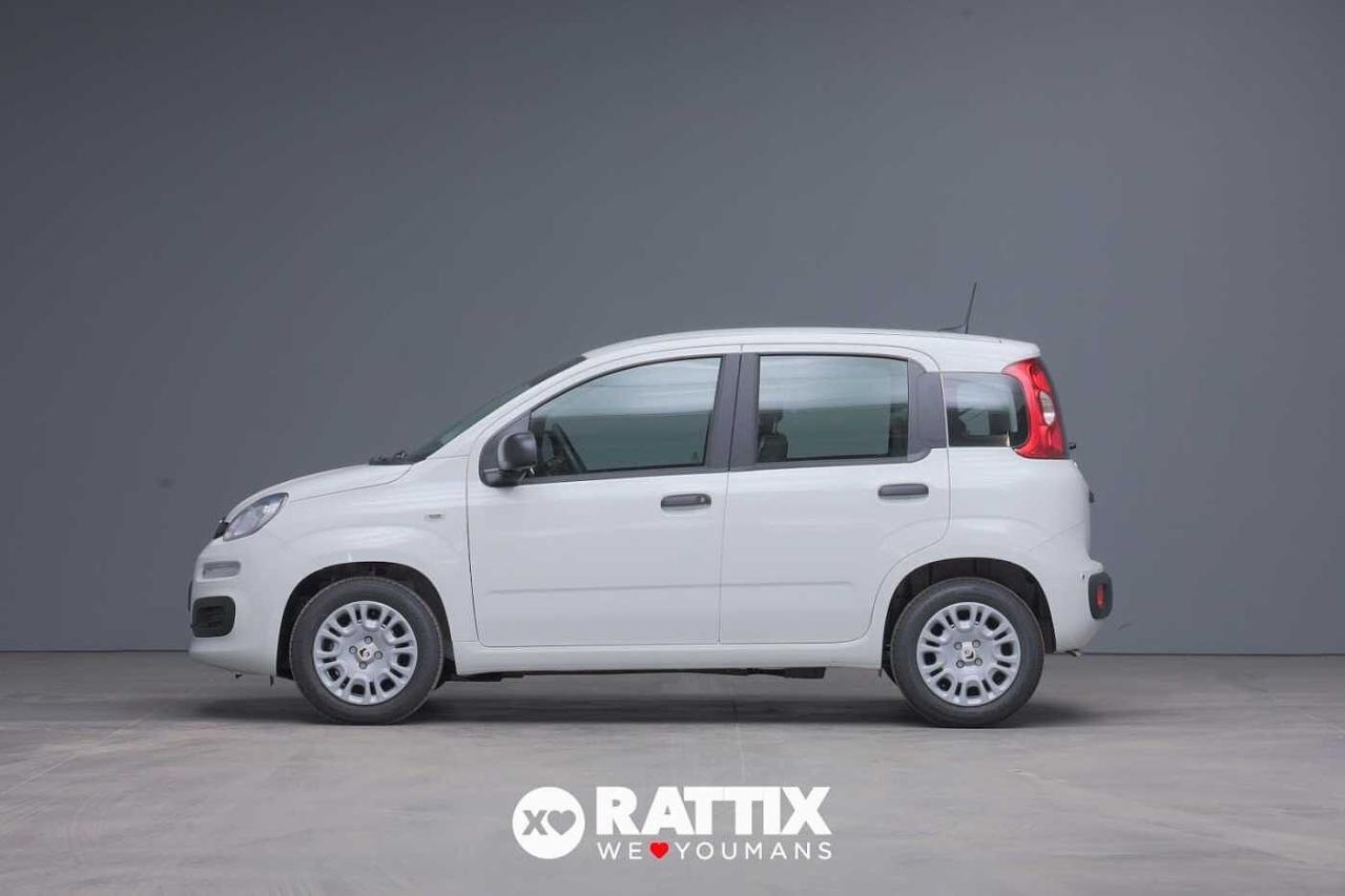 Fiat Fiat Panda usata 11