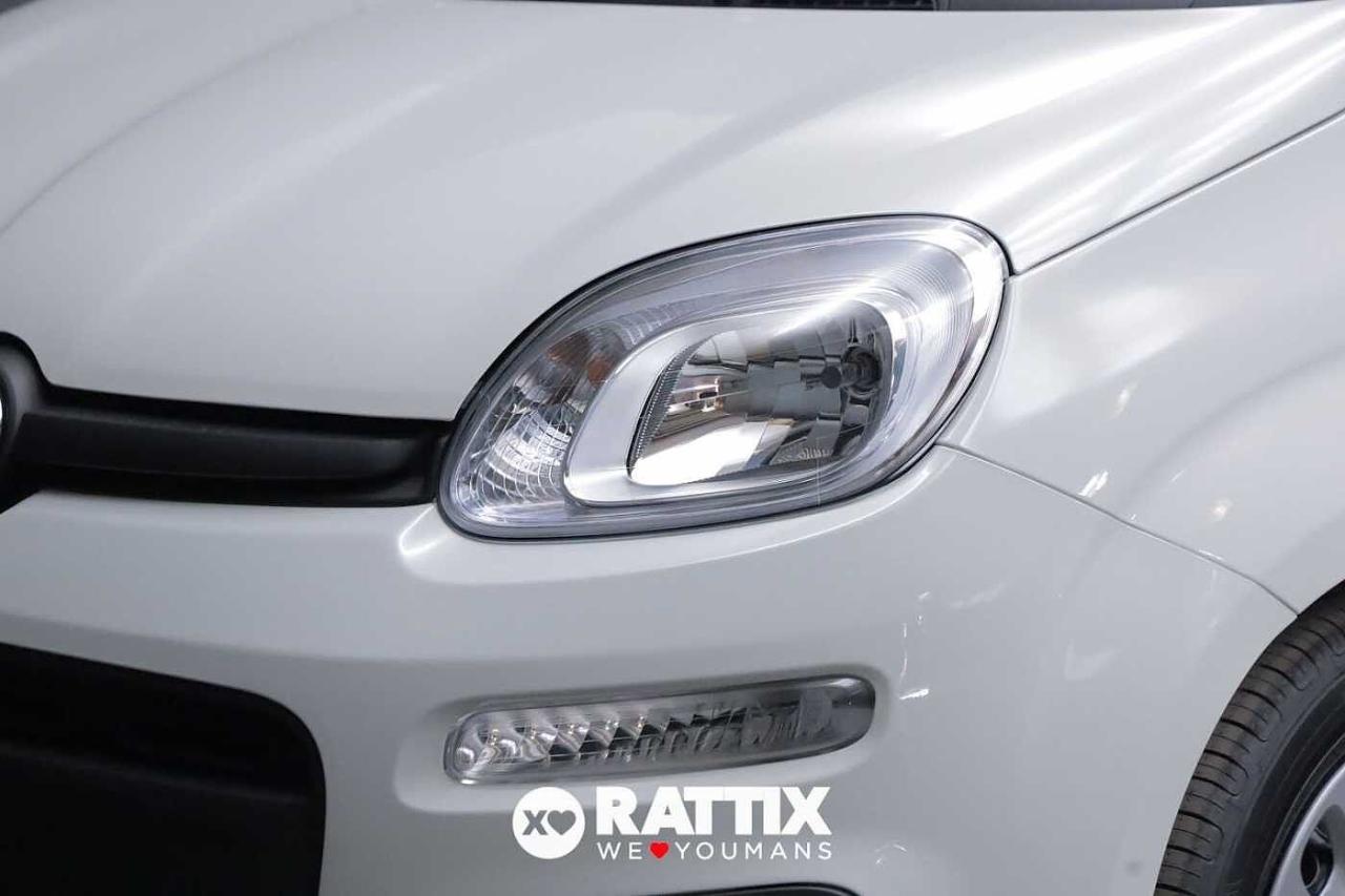 Fiat Fiat Panda usata 14