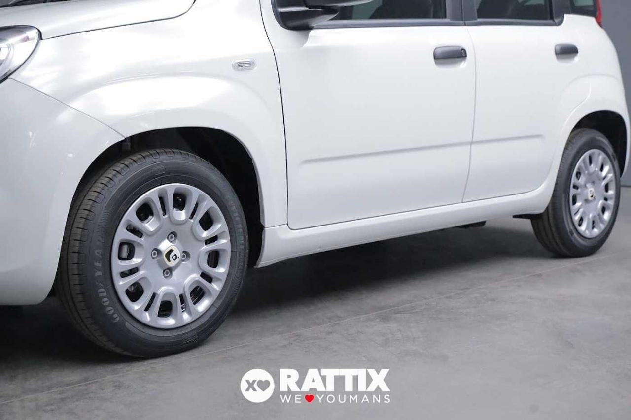 Fiat Fiat Panda usata 15