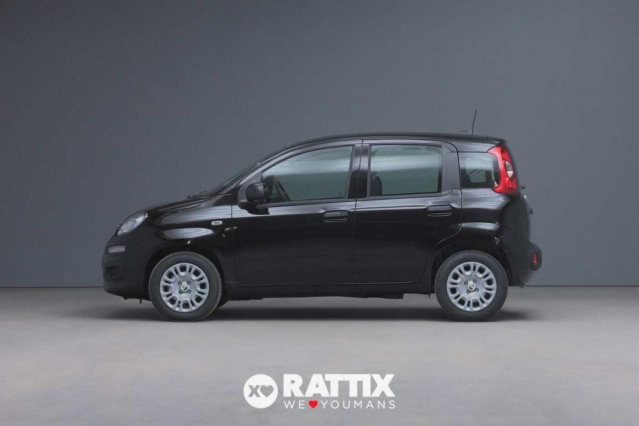 Fiat Fiat Panda usata 11
