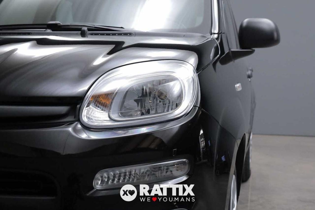 Fiat Fiat Panda usata 20