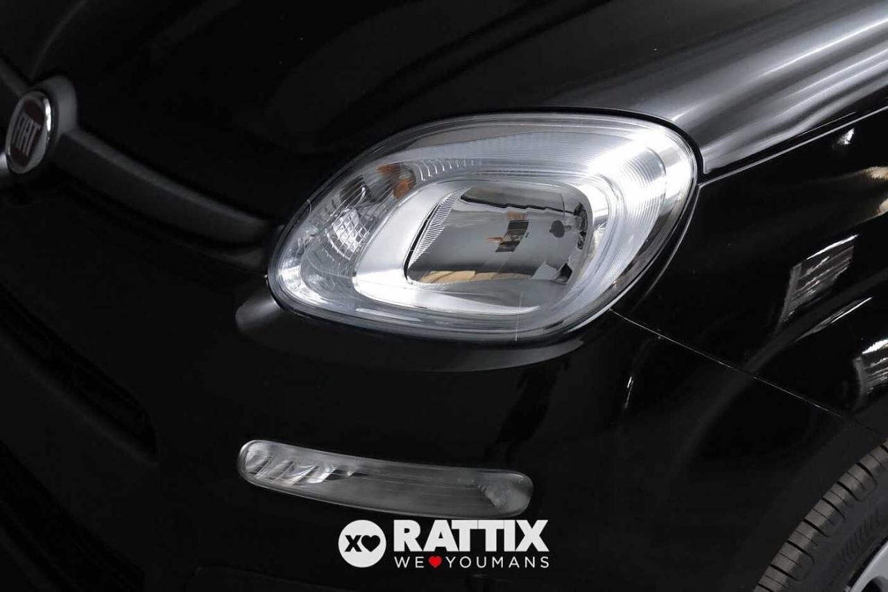 Fiat Fiat Panda usata 21