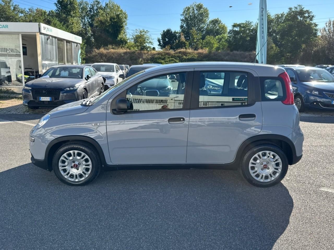 Fiat Fiat Panda usata, con controllo elettronico trazione