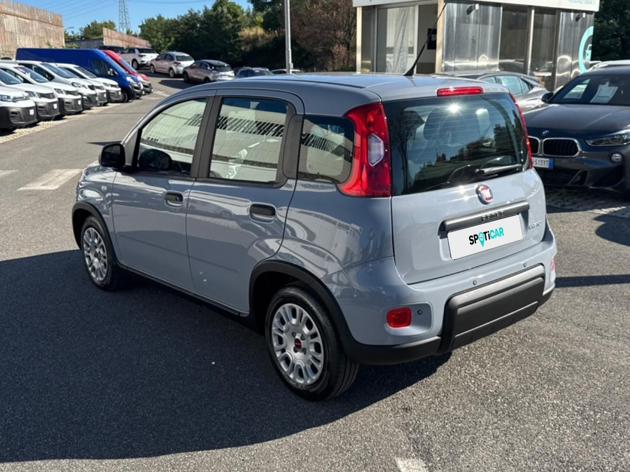 Fiat Fiat Panda usata, con fari principali a superf.complessa , anabbagl. alogena , abbagl. alogena