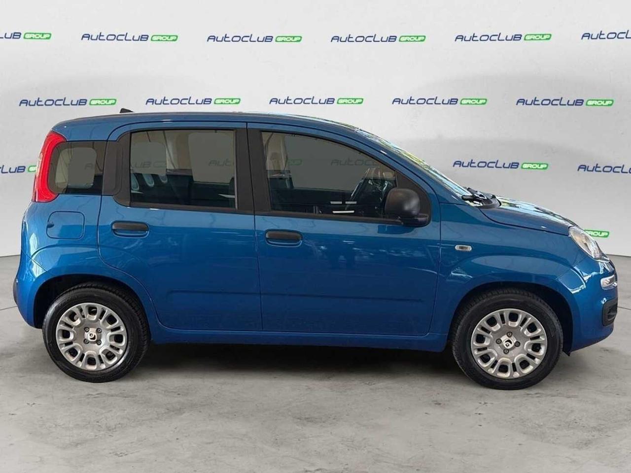 Fiat Fiat Panda usata 18