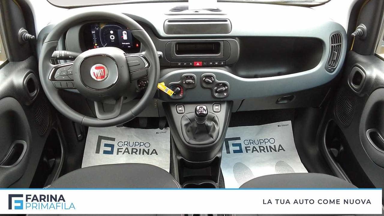 Fiat Fiat Panda usata, con 4 sedili