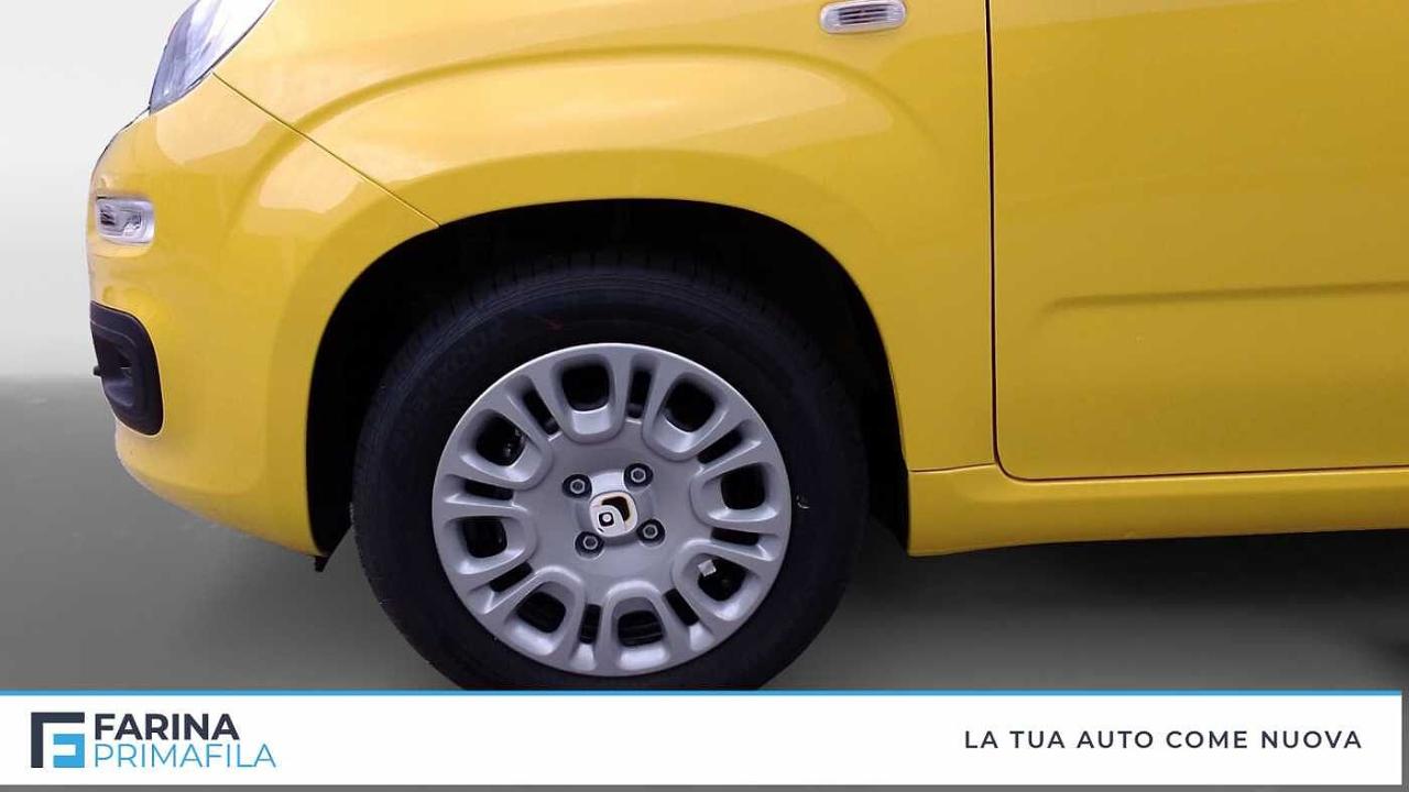 Fiat Fiat Panda usata, con Nessun airbag