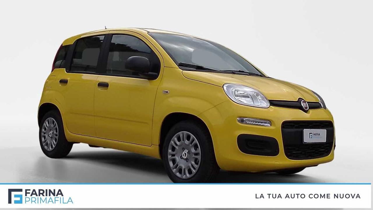 Fiat Fiat Panda usata 11