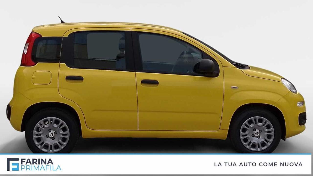 Fiat Fiat Panda usata 17