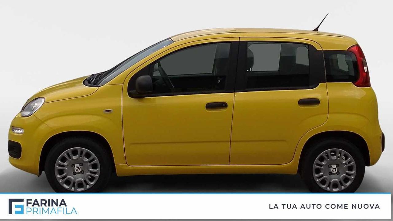Fiat Fiat Panda usata 18