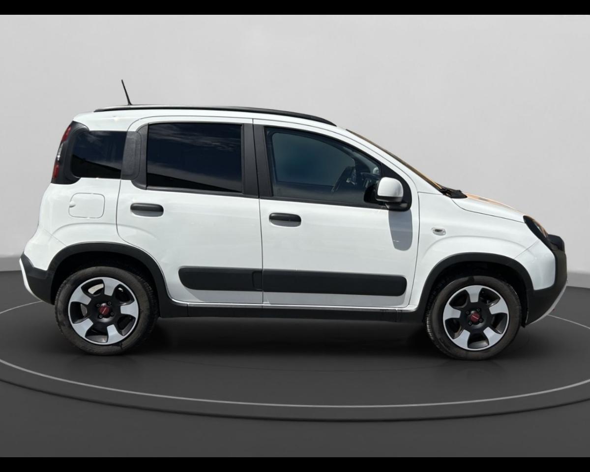 Fiat Fiat Panda usata 12