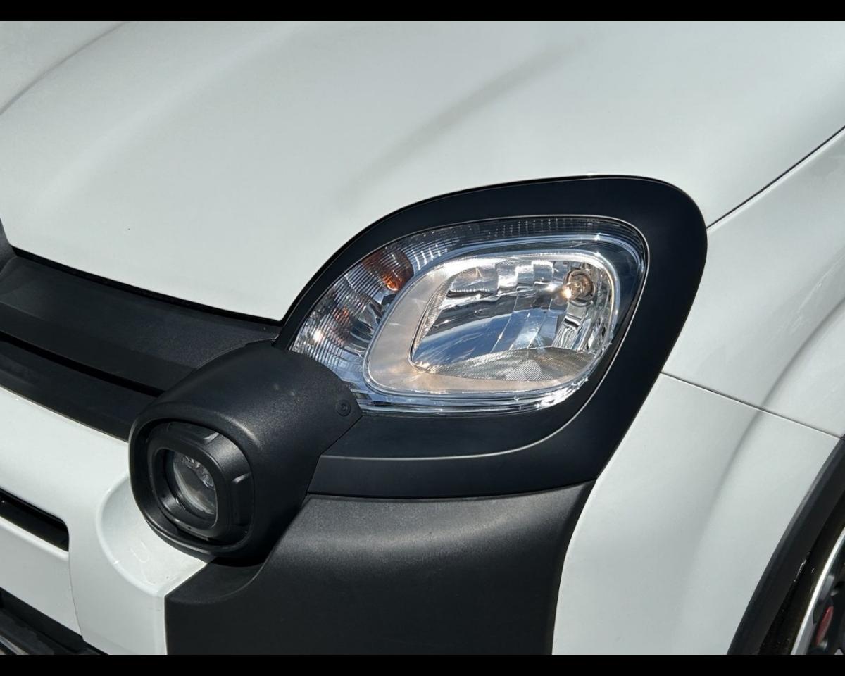 Fiat Fiat Panda usata 14