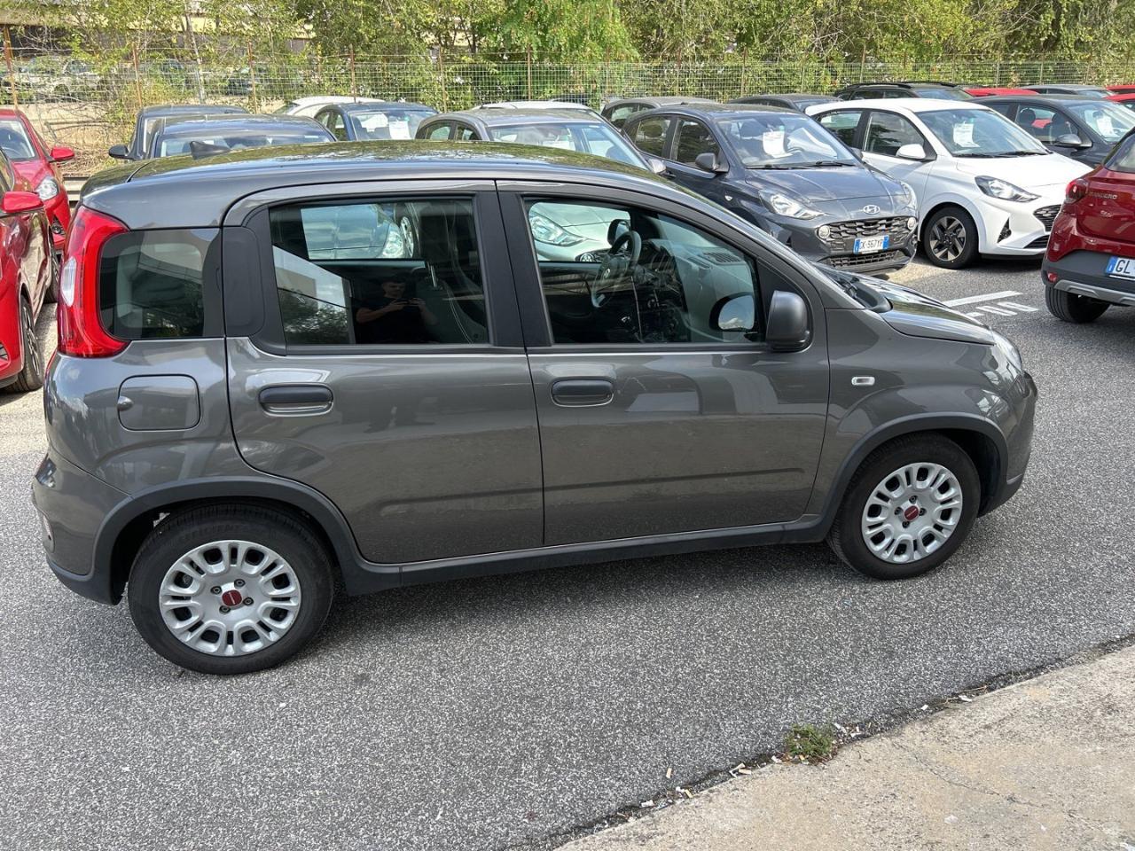 Fiat Fiat Panda usata 16
