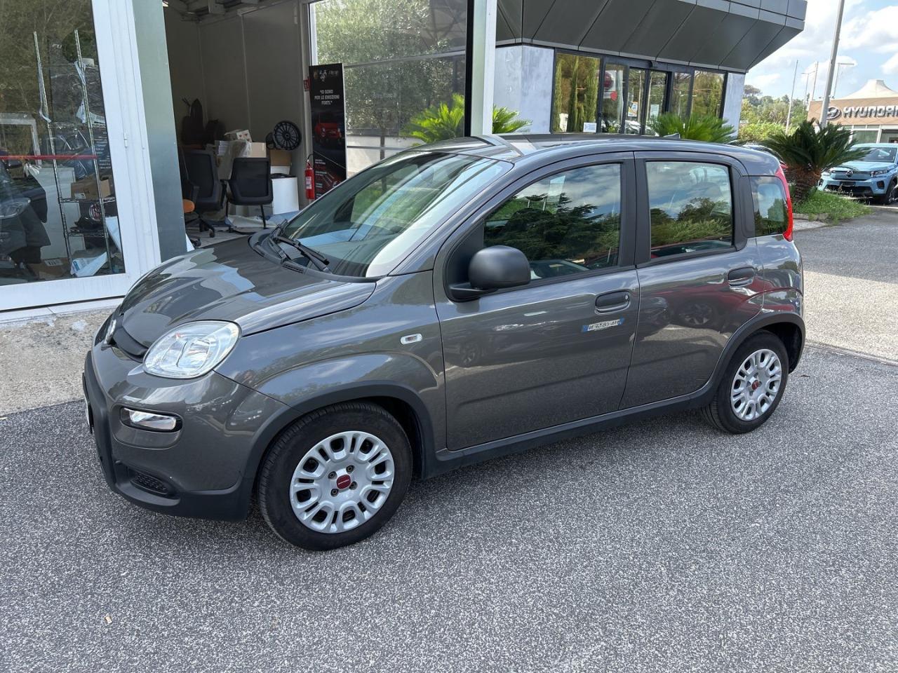 Fiat Fiat Panda usata 18