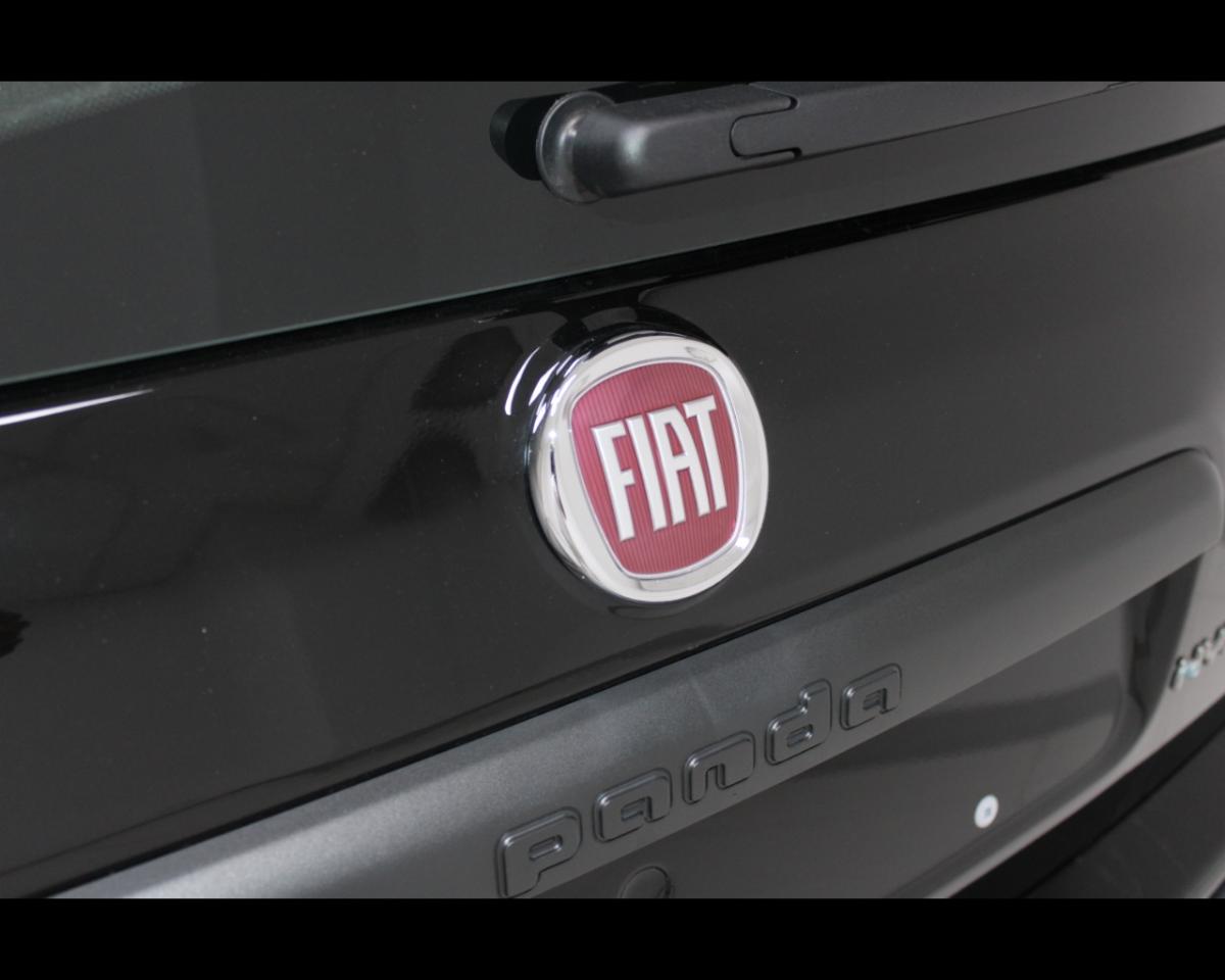 Fiat Fiat Panda usata 10